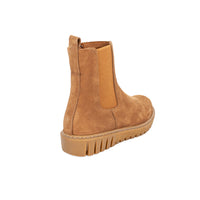 Thumbnail for Antarctica