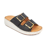 Thumbnail for Solena