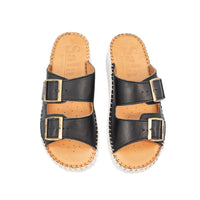 Thumbnail for Solena