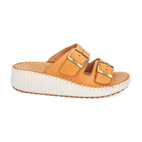 Thumbnail for Solena