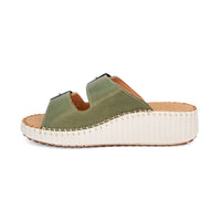 Thumbnail for Solena