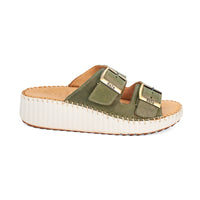 Thumbnail for Solena