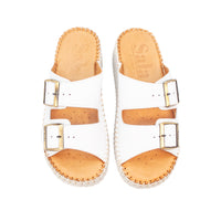 Thumbnail for Solena