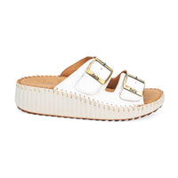 Thumbnail for Solena