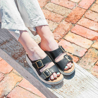 Thumbnail for Solena