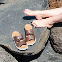 Thumbnail for Solena