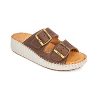 Thumbnail for Solena