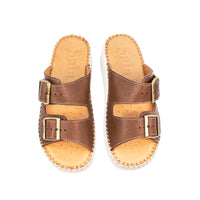 Thumbnail for Solena